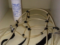 Conductive gel and elastic band